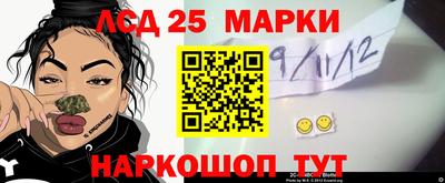 спиды Новозыбков
