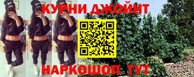 спиды Новозыбков