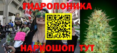 спиды Новозыбков