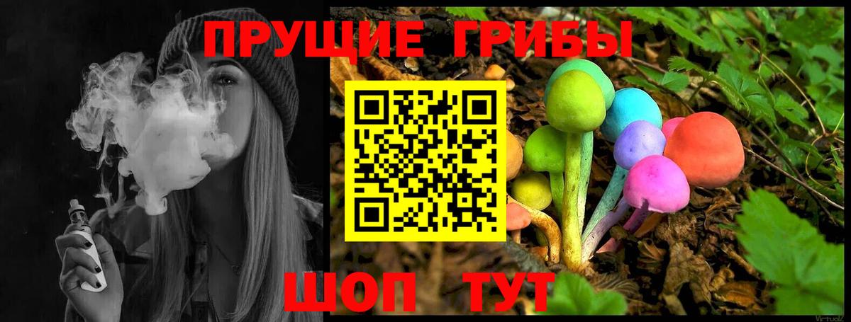 Первоуральск  как найти   Вход с VPN  Псилоцибиновые грибы мицелий 